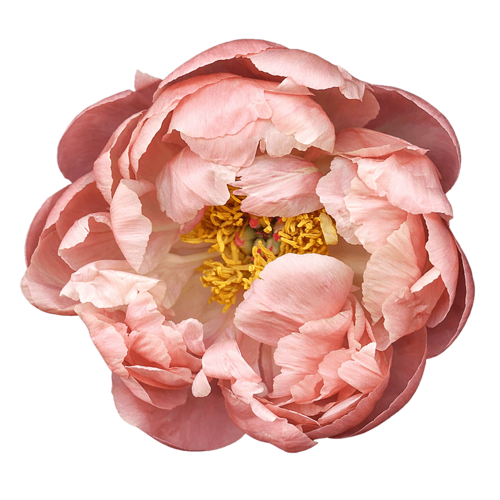 Sexual energy practice session imagery