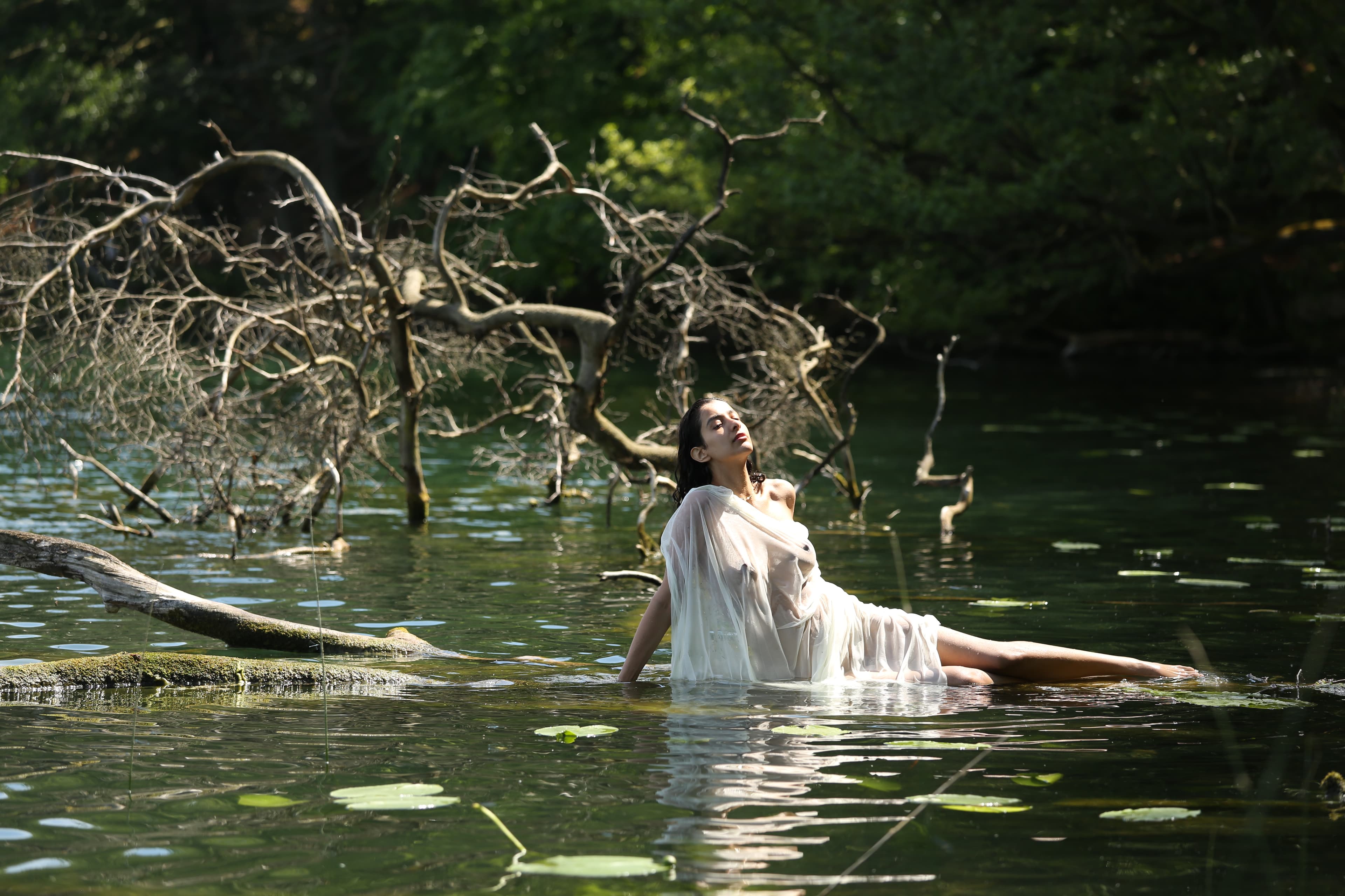 Background landscape